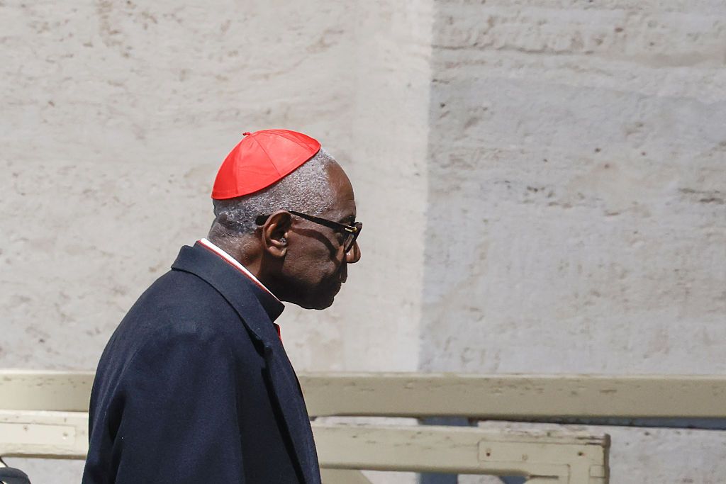 From Ukraine envoy to Orban's ally: Who will sit on papal throne